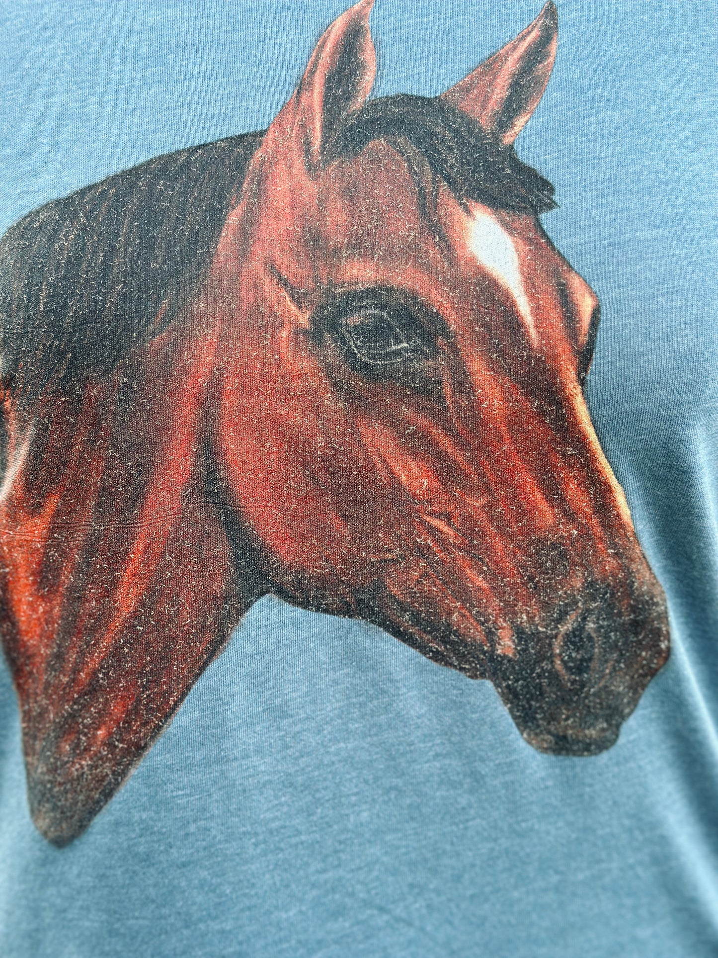 Quarter Horse Graphic Tshirt