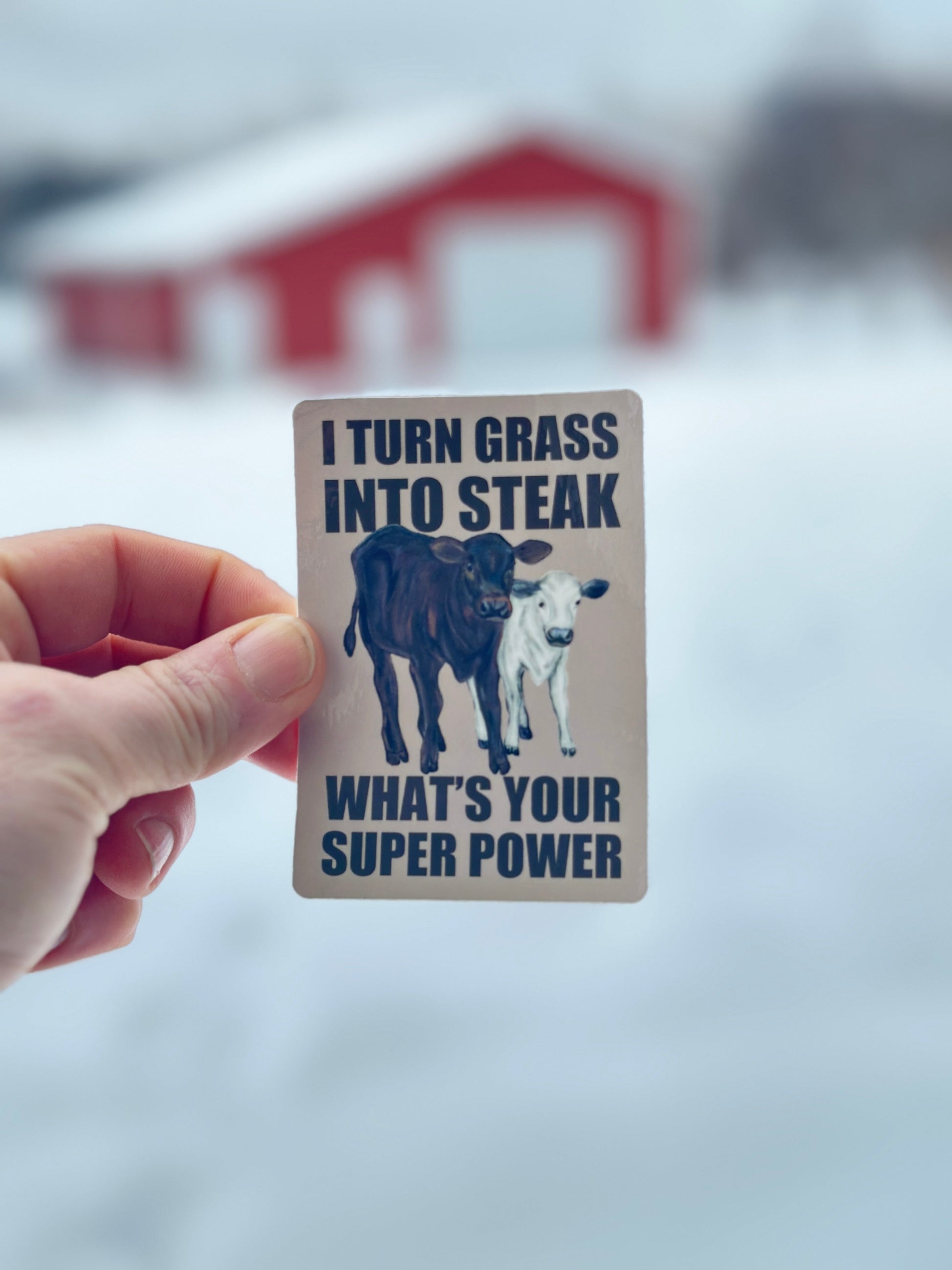 Superpower: I Turn Grass Into Steak Vinyl Sticker Millville Ridge Farm